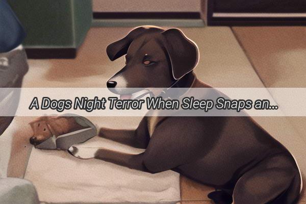 A Dogs Night Terror When Sleep Snaps and Breaths Race for Air